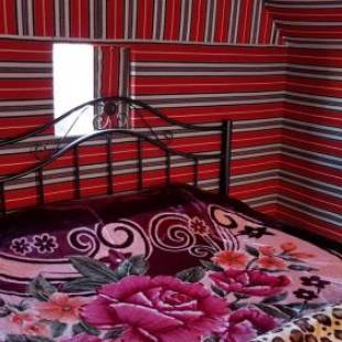 Фотографии кемпинга
Bedouin host camp& with tour