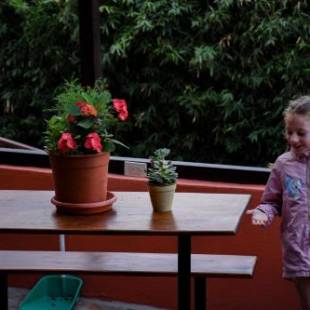 Фотографии мини отеля
Cabinas Eddy B&B