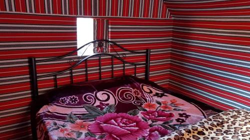 Фотография кемпинга Bedouin host camp& with tour