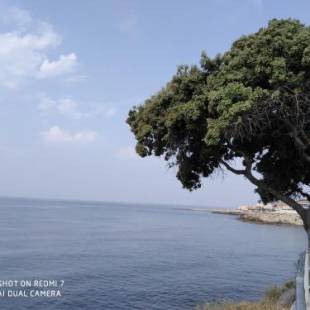 Фотографии гостевого дома
Studio Sausset les pins