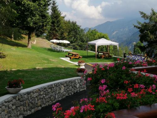 Фотография гостиницы Hotel Trentino