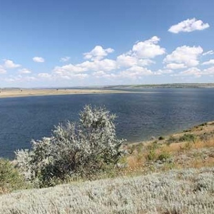 Фотография достопримечательности Тилигульский ландшафтный парк