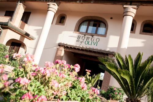 Фотографии гостиницы 
            Hotel Borgo degli Olivi