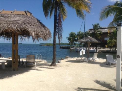 Фотография гостиницы Blackfin Resort and Marina