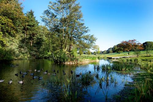 Фотография мини отеля Lancaster University