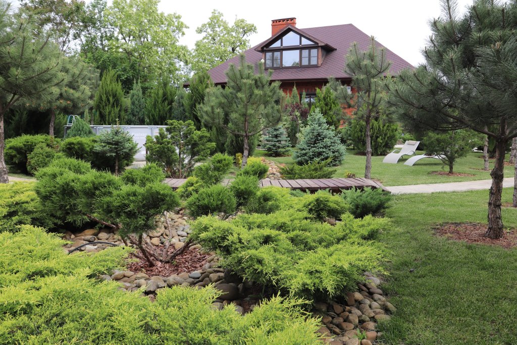 Фотография Коттеджа Частный Дом Шале  Pinebrook  Круглогодично Утопающий в Зелени с Сезонным Бассейном, для Семейного Отдыха у Реки Дон