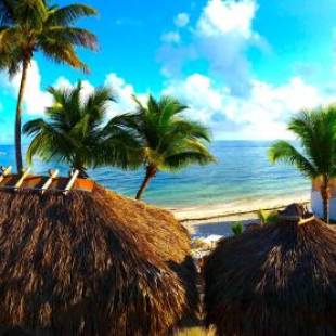 Фотографии мотеля
Key Colony Beach Motel