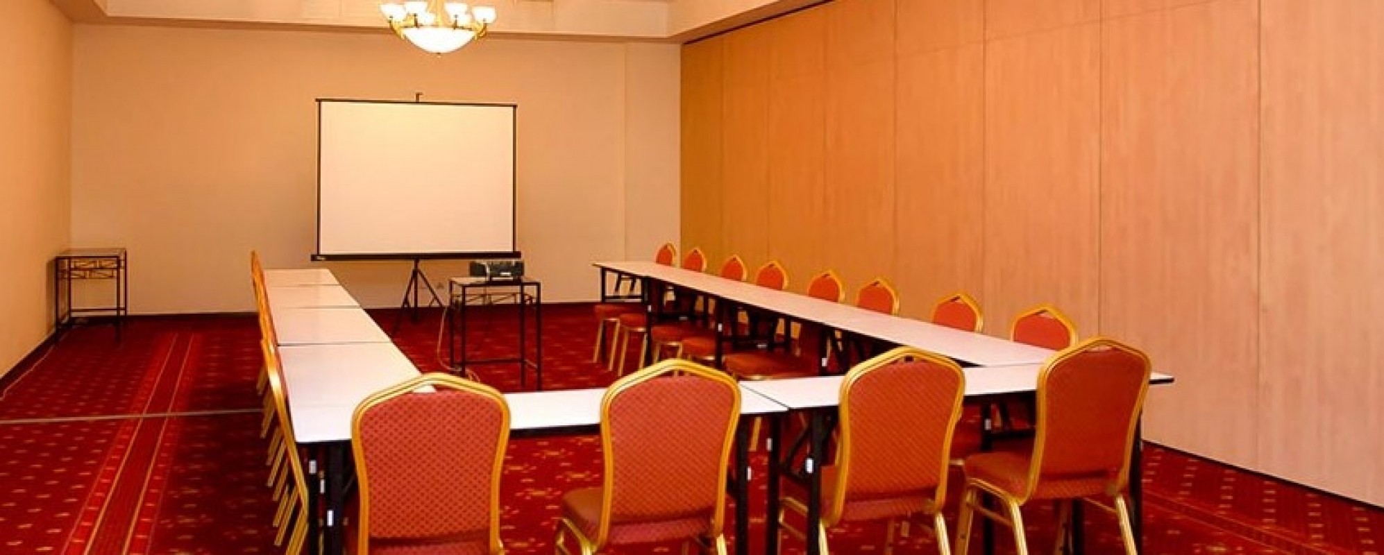 Фотографии конференц-зала Тютчевский зал