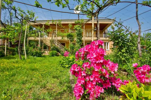 Фотография мини отеля Zaali's wine cellar