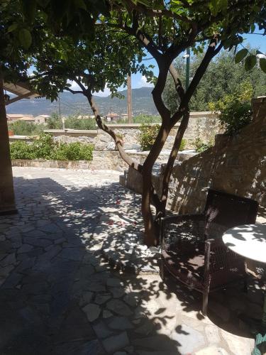 Фотографии апарт отеля
Palataki