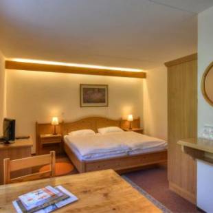 Фотографии гостиницы 
            Hotel Roc et Neige