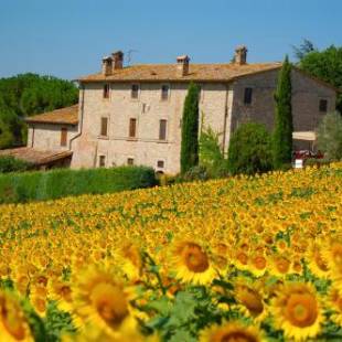 Фотографии базы отдыха
Agriturismo Casale Dei Frontini