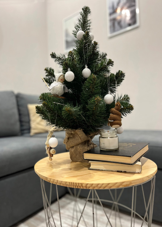 Фотография квартиры Апартаменты с видом на горы