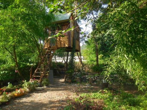 Фотографии гостевого дома 
            Robinson Crusoe