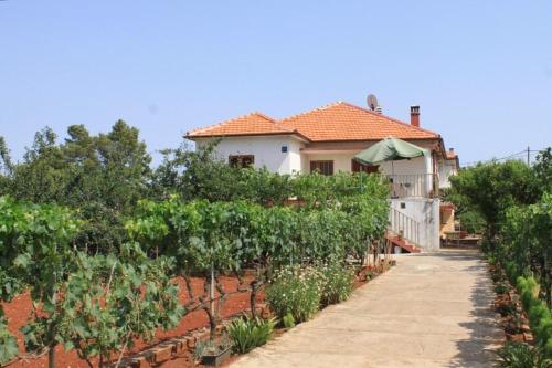 Фотография гостевого дома Apartments by the sea Ugljan - 8257