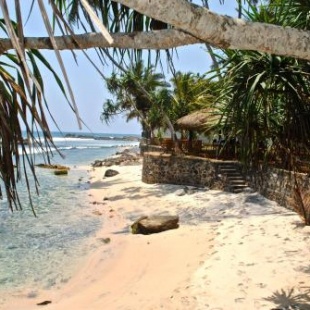 Фотография гостиницы Satin Doll