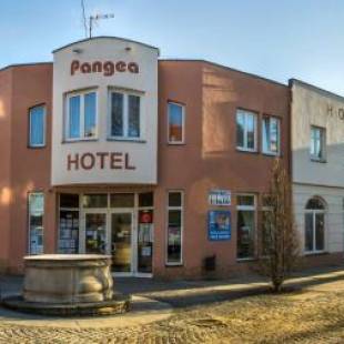 Фотографии гостиницы 
            Hotel Pangea