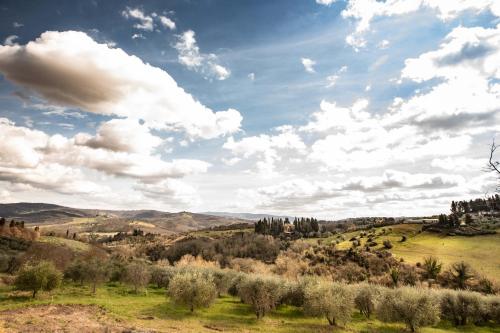 Фотография мини отеля Campora House