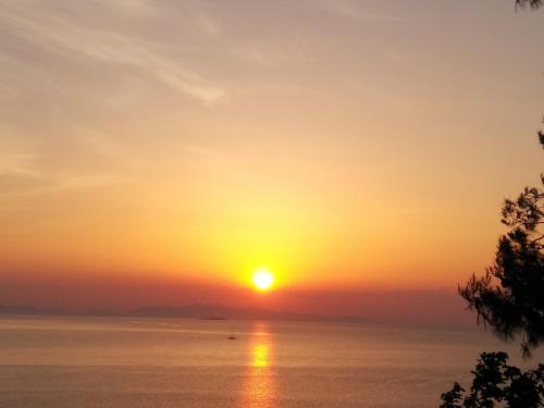 Фотография гостевого дома Kymi Bay House