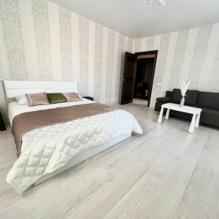 Фотография квартиры Апартаменты Бизнес Лайт