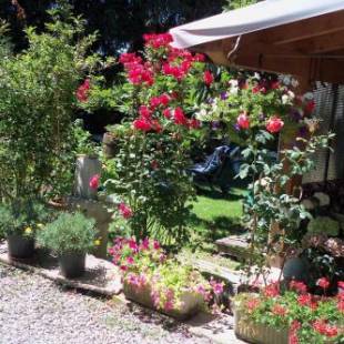 Фотографии мини отеля 
            Borgoeden