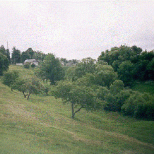 Фотография достопримечательности Верхний сад