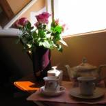 Фотография мини отеля Wild Roses