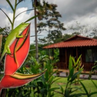 Фотография гостиницы Hotel Rancho Cerro Azul