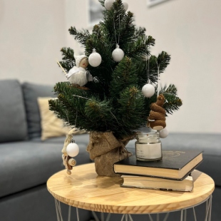 Фотография квартиры Апартаменты с видом на горы