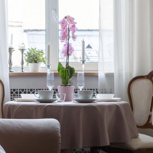 Фотографии квартиры
Апартаменты Двухуровневые New Holland