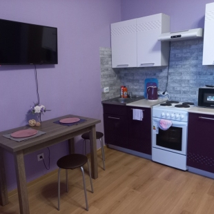 Фотография квартиры Апартаменты рядом с Онкоцентром НИИ Петрова