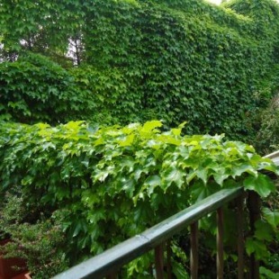 Фотография гостиницы Rugantino Hotel Boutique