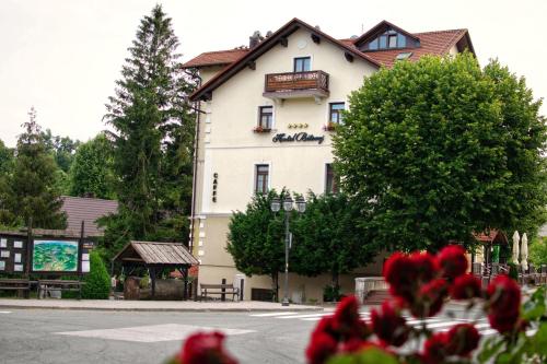 Фотография гостиницы Hotel Bitoraj Fužine