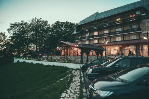 Фотография гостиницы Cabana Trei Brazi