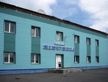 Фотография мини отеля Лесная жемчужина