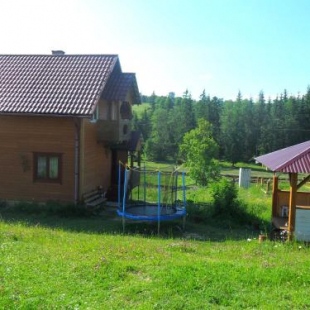 Фотография гостевого дома Лесовичок