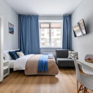 Фотография квартиры Квартира Живи в Песочном Студия Скандинавия