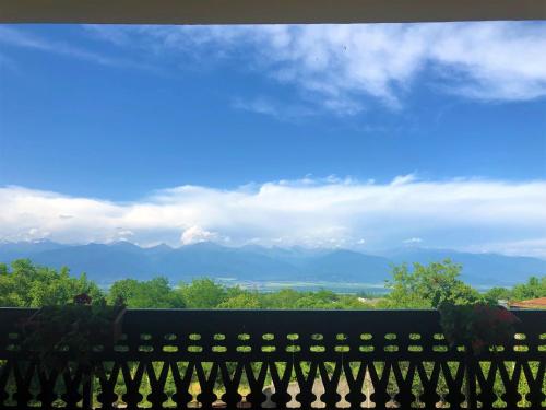 Фотография апарт отеля Tsinandali Inn