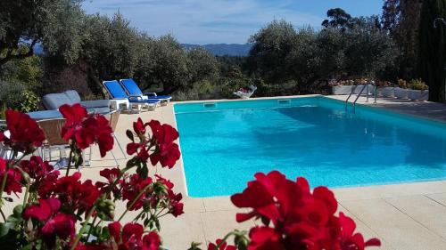 Фотография мини отеля Porturama