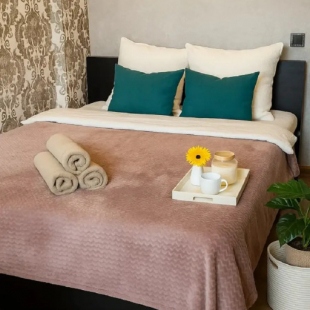 Фотография квартиры Квартира Комфортная евродвушка рядом с парком и развязкой на Крым и Мариуполь