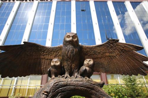 Фотографии гостиницы 
            Снежная Сова