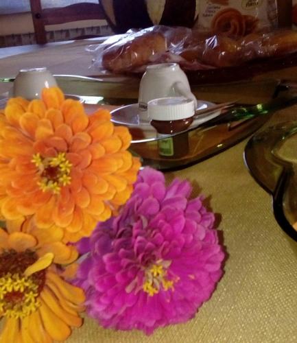 Фотография мини отеля Bed And Breakfast "ANNA"