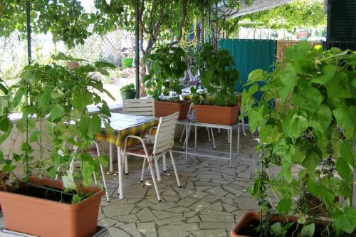 Фотография гостевого дома Apartments by the sea Seget Vranjica, Trogir - 7508