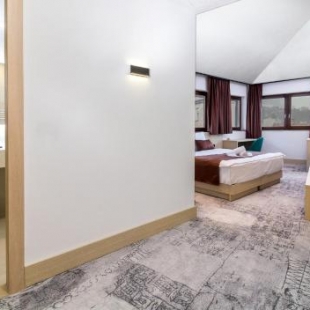 Фотография гостиницы Hotel Boss