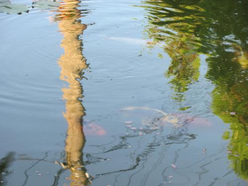 Фотографии гостевого дома
Casa Toma