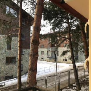 Фотография квартиры Apartamenti Bakuriani INN