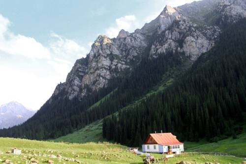 Фотография гостевого дома Эльза