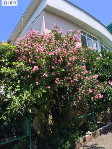 Фотография гостевого дома Аквамарин