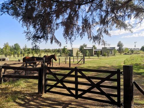 Фотография гостевого дома Hostel de campo La Providencia