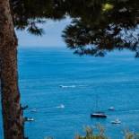 Фотография гостевого дома Villa Zabbara Capo Zafferano